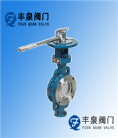 對(duì)夾式硬密封蝶閥